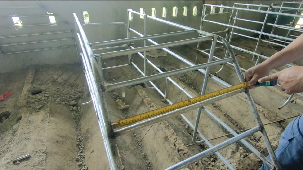 Farrowing Pen Design - How to Make Farrowing Pen for Pigs (Part 2)