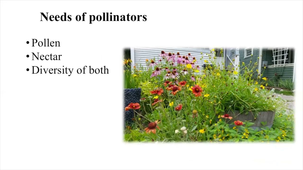 Lecture 28: Habitat Management and USDA Programs