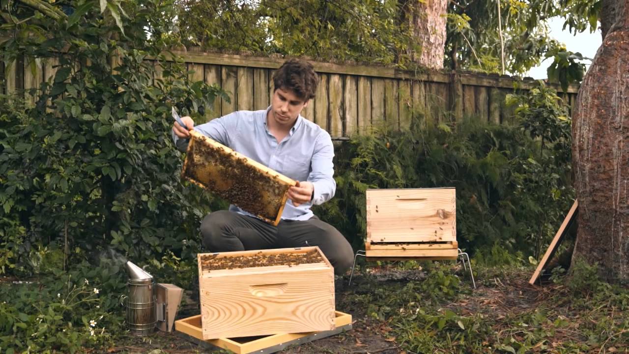 Installer une grille à reine