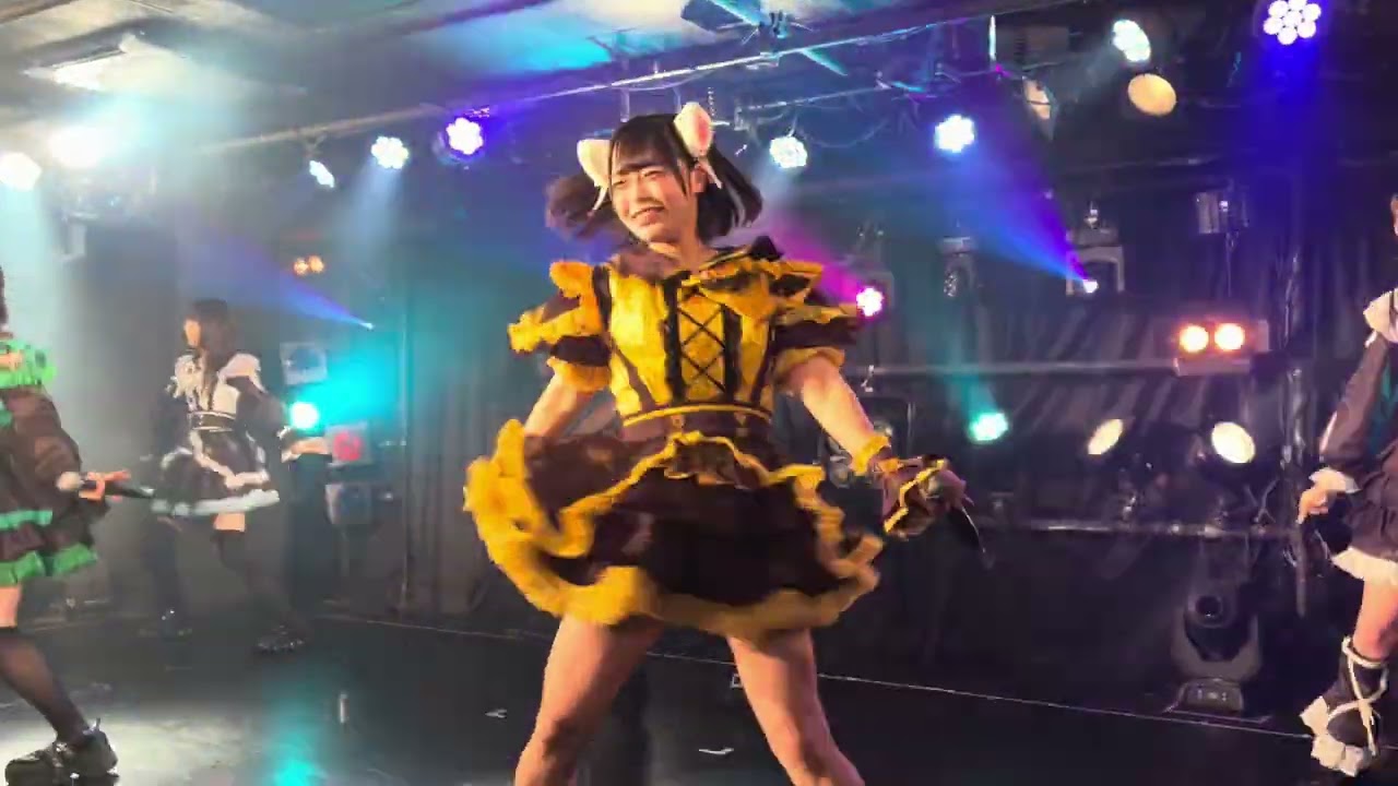 🎪 新宿ZircoTokyoライブ２月22日午前10時45あいすなっつ