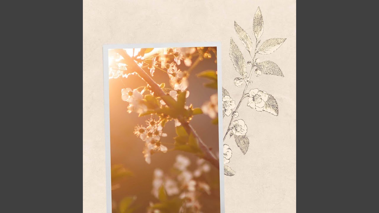 Background for Sunday Evening Cafe