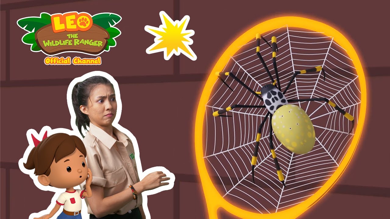 🕷️ WHERE'S THE SPIDER? 🕷️ | Golden Orb Spider | Leo the Wildlife Ranger | #minisode