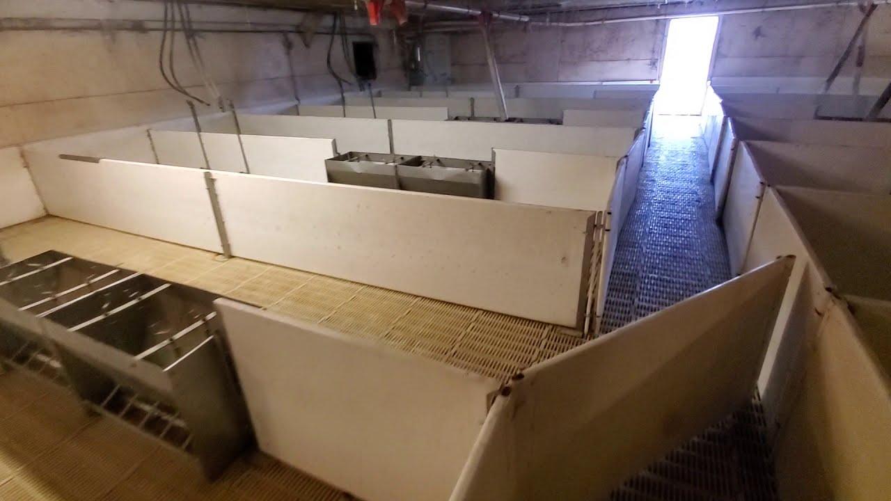 10 Pen PVC Nursery Pen System