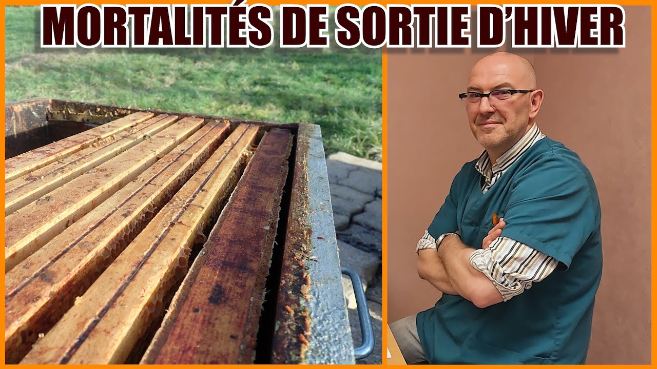 Mortes, Pertes, Pharmacovigilance, que faire ? avec Jo-le-Véto - S07E12