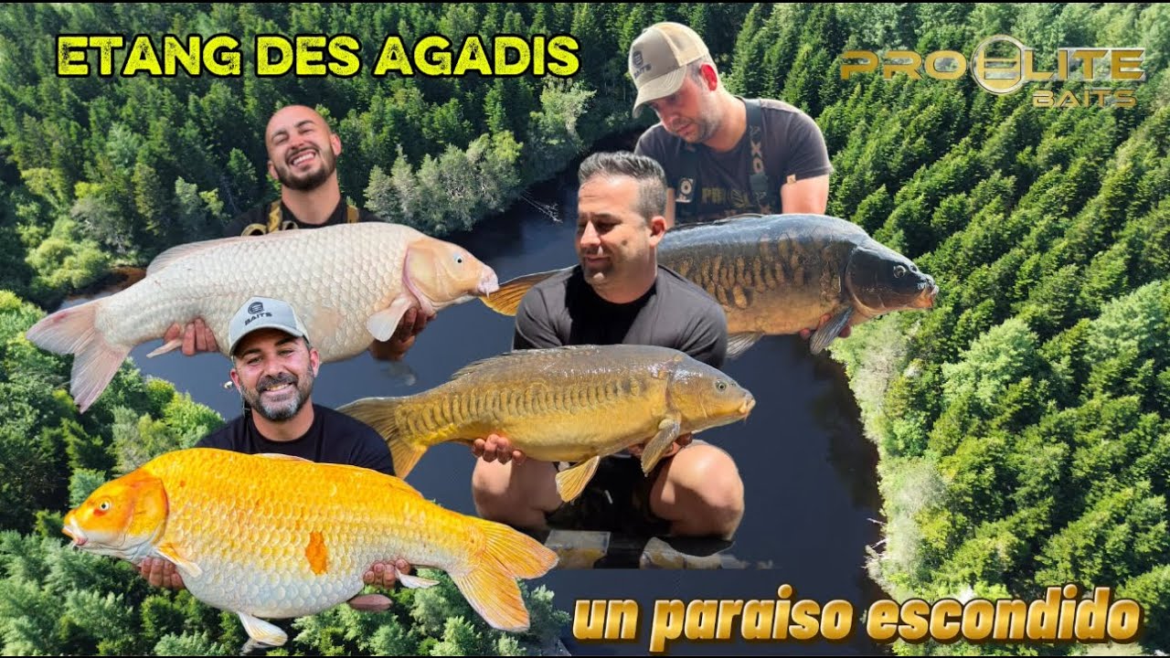CARPFISHING ETANG DES AGADIS UN PARAISO ESCONDIDO