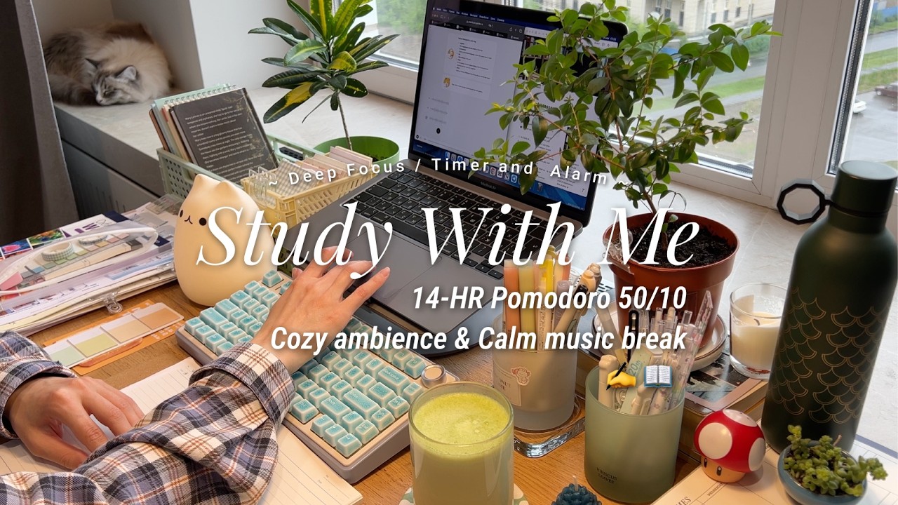14-HR STUDY WITH ME [Pomodoro 50/10] 🍵 ambience session & calm music break / countdown & alarm