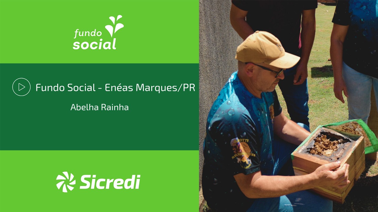 Fundo Social - Enéas Marques/PR: Abelha Rainha