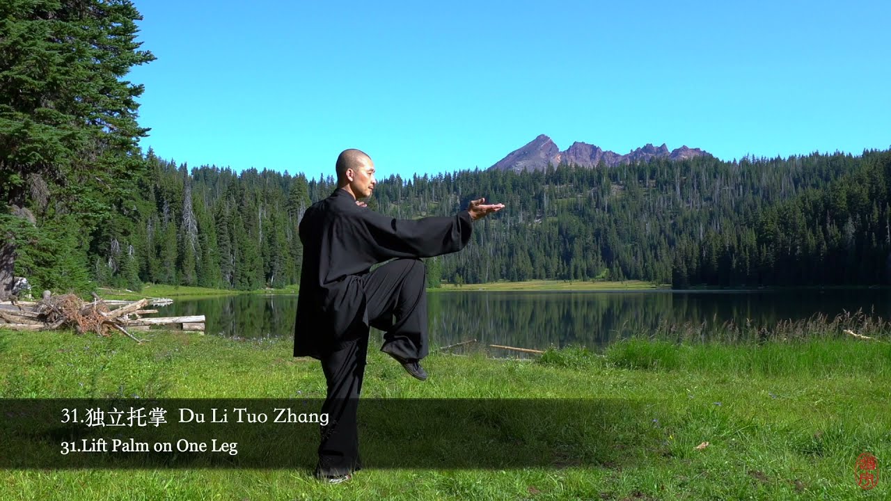 42 Tai Chi form back view 42太极拳背面全套