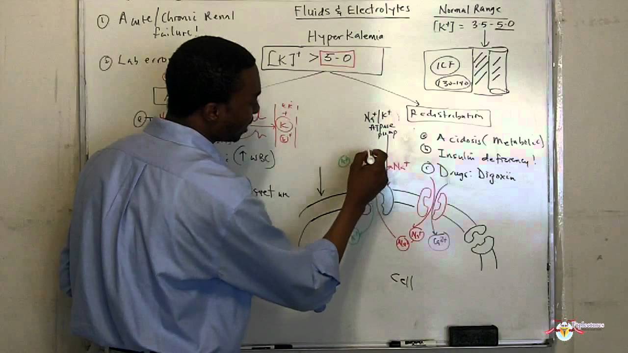 Hyperkalemia Video Lecture made simple! HD