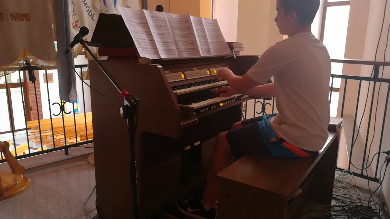 Prezentacja organ&oacute;w - Viscount Vivace 40