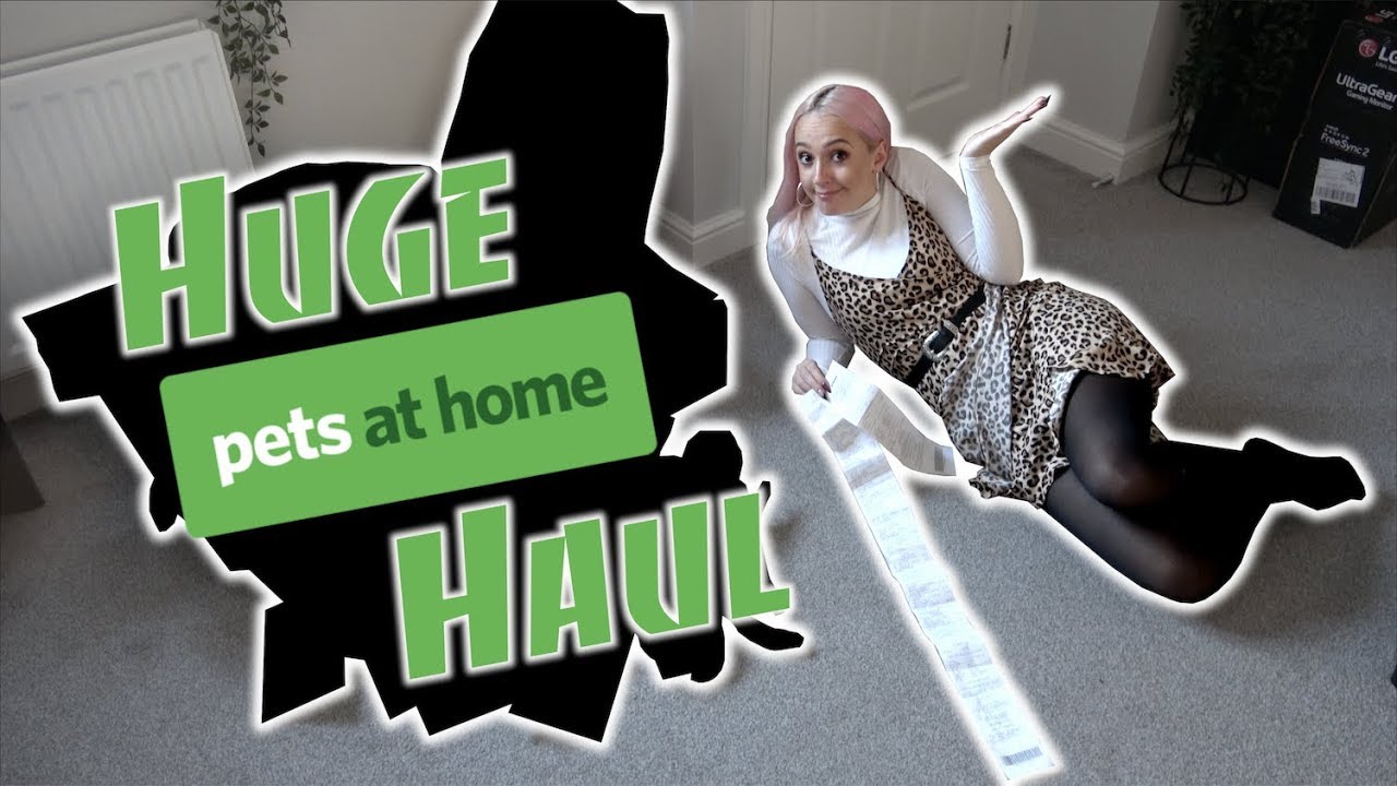 Pets at Home Haul for Stanley's Stuff!