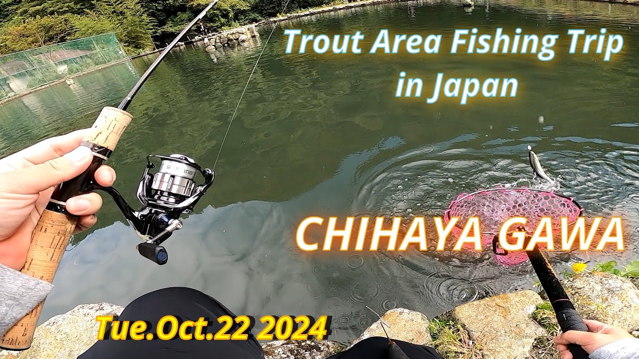 CHIHAYA GAWA Oct.22 2024 / Trout Area Fishing Trip in Japan