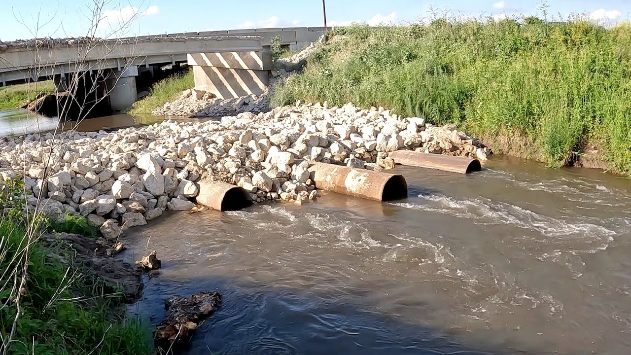 I Thought I Caught A State Record Fish...But There Was A Catch (Multi-Species Creek Fishing)