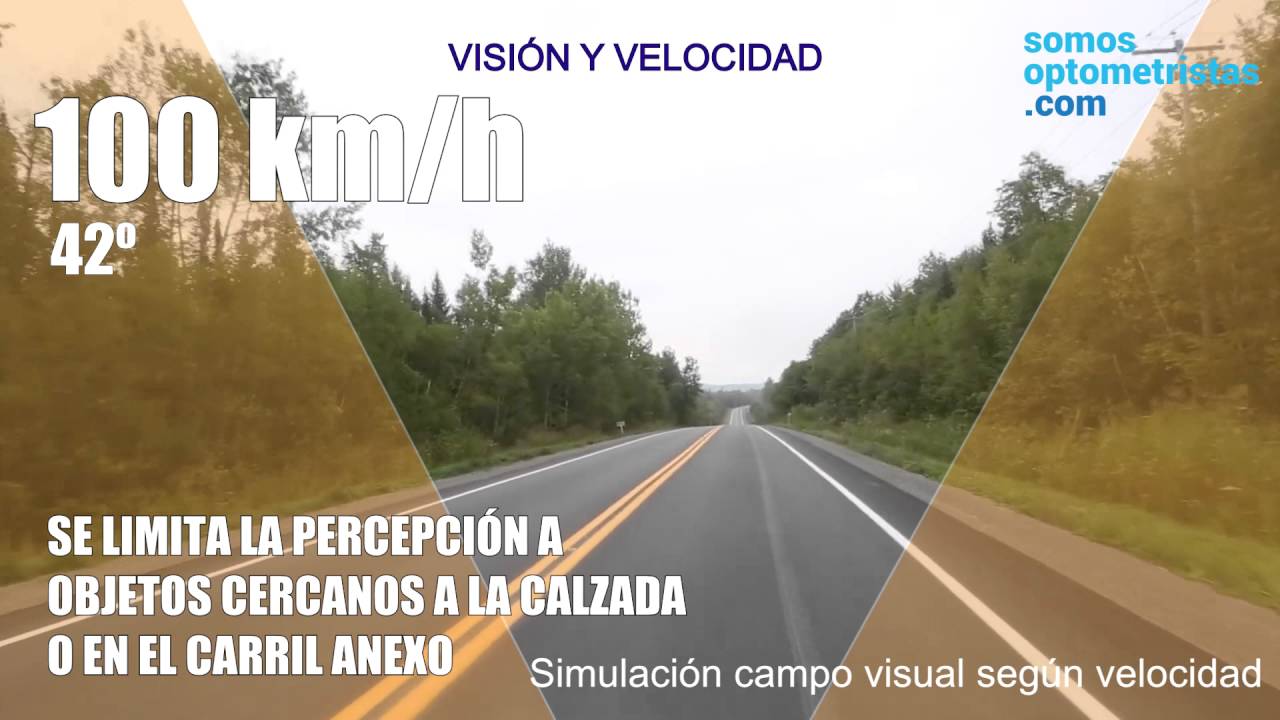 Visión y velocidad