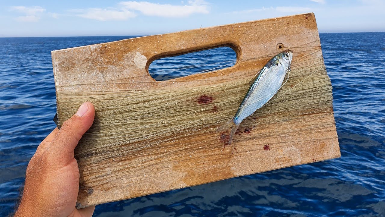 Pesca a MANO con SARDINA VIVA y MUERTA | CABRILLAS Y PARGOS