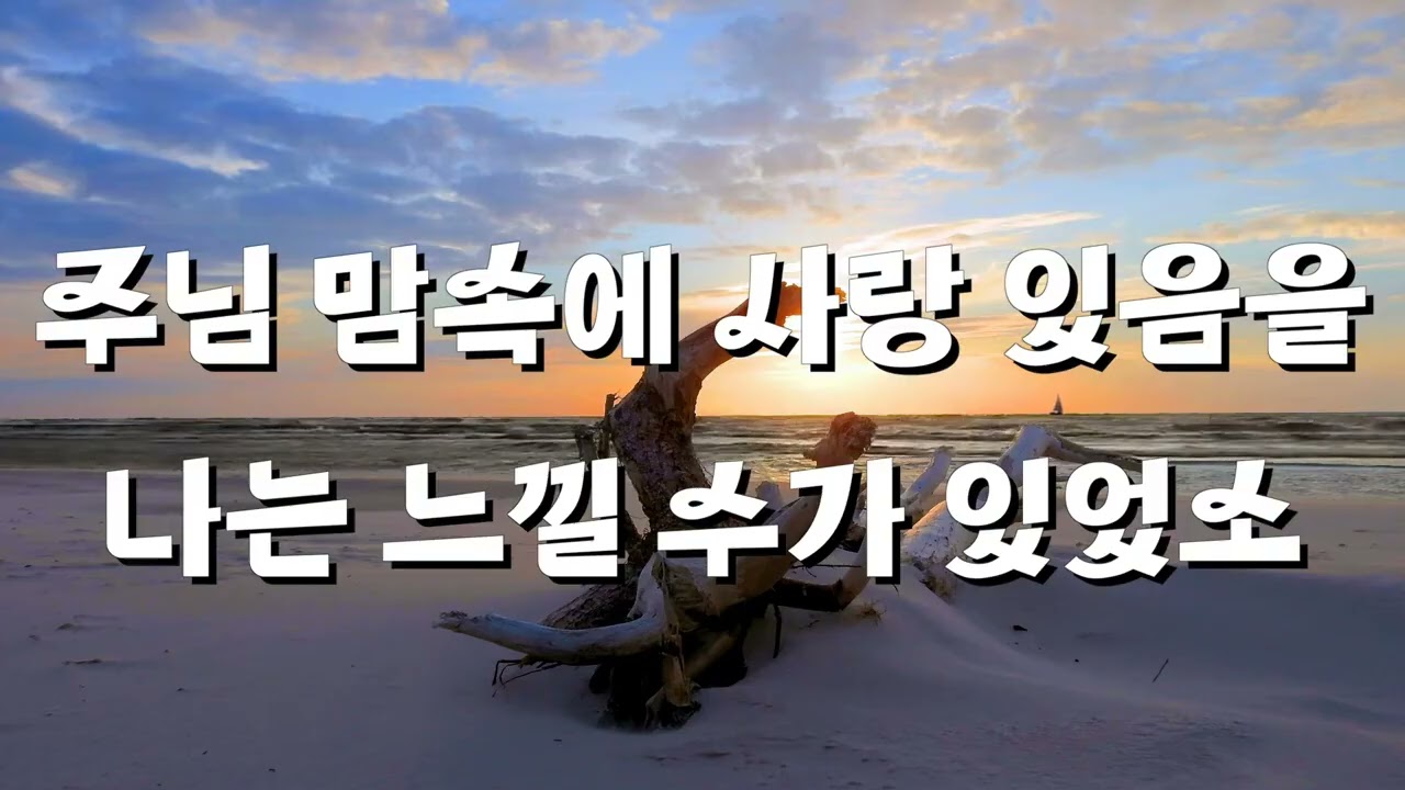 반주 실로암 어두운 밤에   INSTRUMENT 2023 10 08