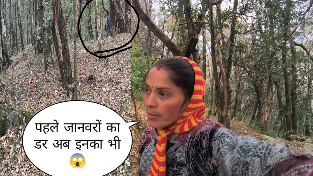 पहले जानवरों का डर था अब इनका भी 😱@MamtaBajwalvlogs #uttrakhand #phadilifestyle #tungnath #youtube 