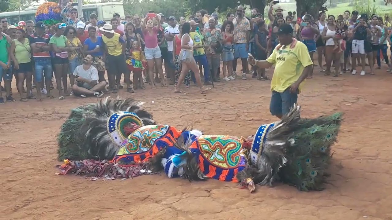 chegada do areima Zé cibita nu maracatu cambinda brasileira