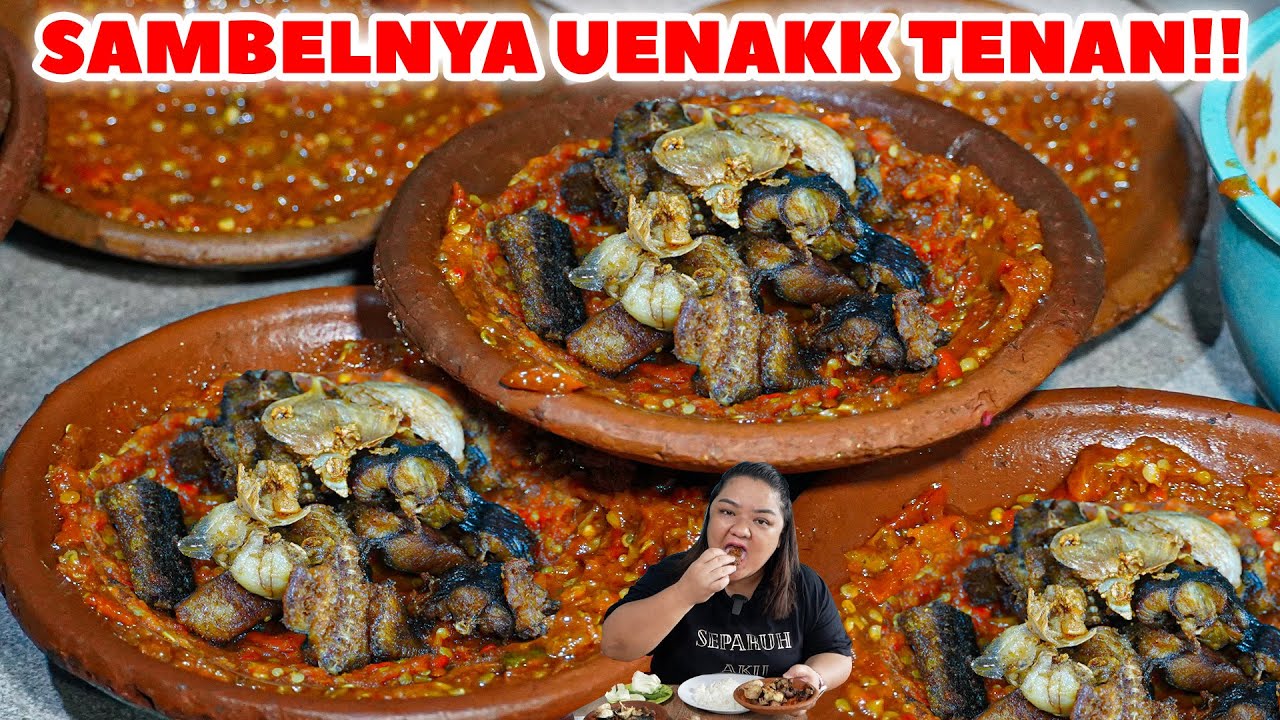 MUANTAP POLL!! SAMBEL BELUT LARIS MANIS HABIS SAMPE 1 KWINTAL PER HARI!!