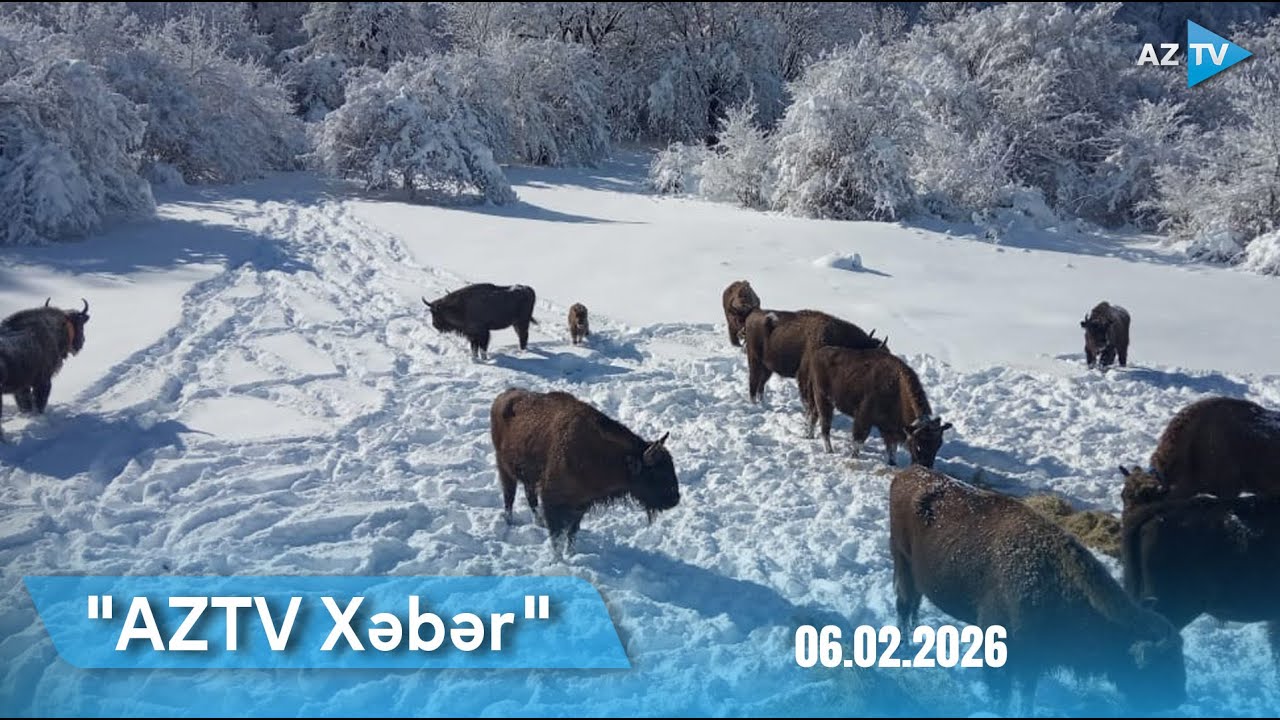 AZTV XƏBƏR (14:00) | 06.02.2026