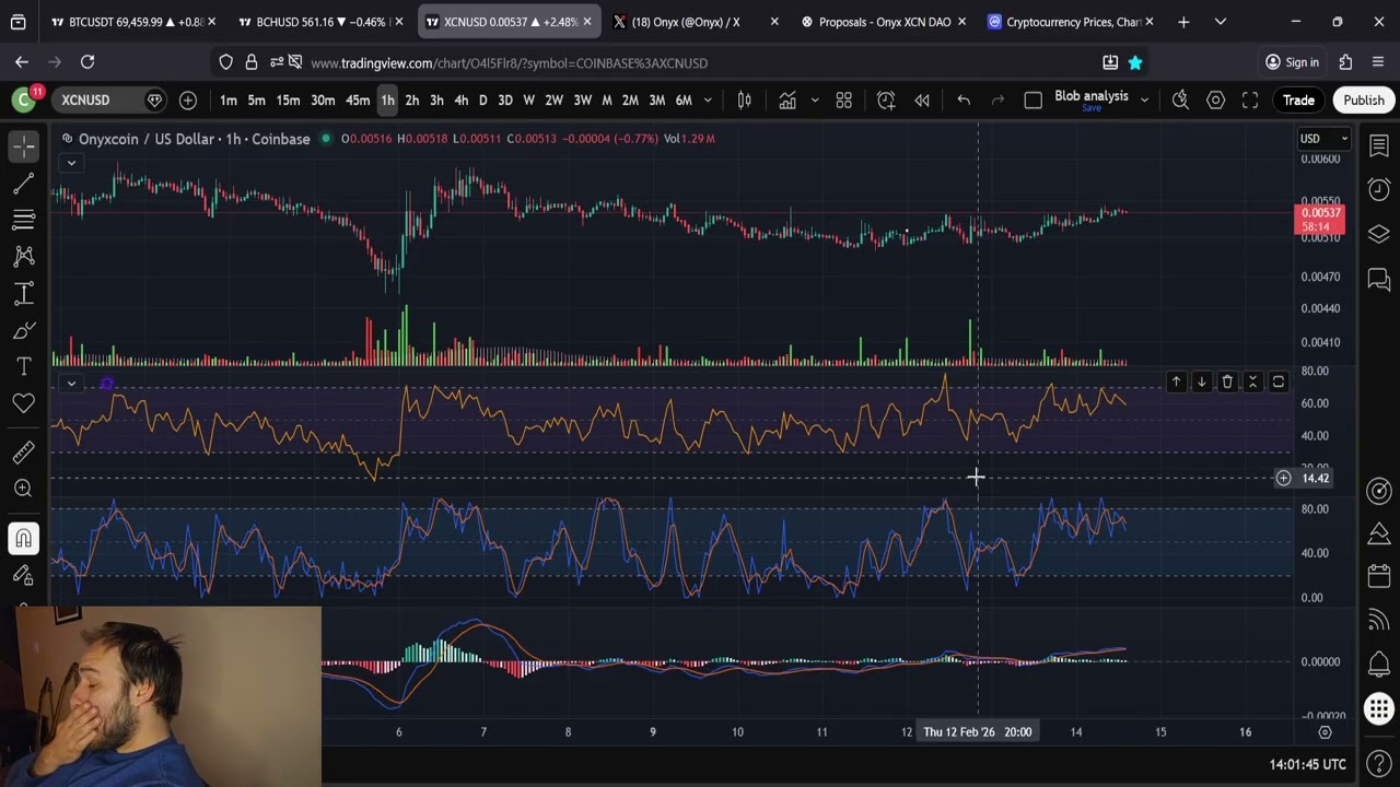 Прогноз цены XCN OnyxCoin: 2 цента или больше.