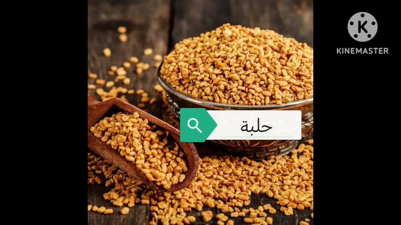 الخلطة الذهبية لتغذية العصب  المايلين - بطريقة الدكتور محمد الفايد