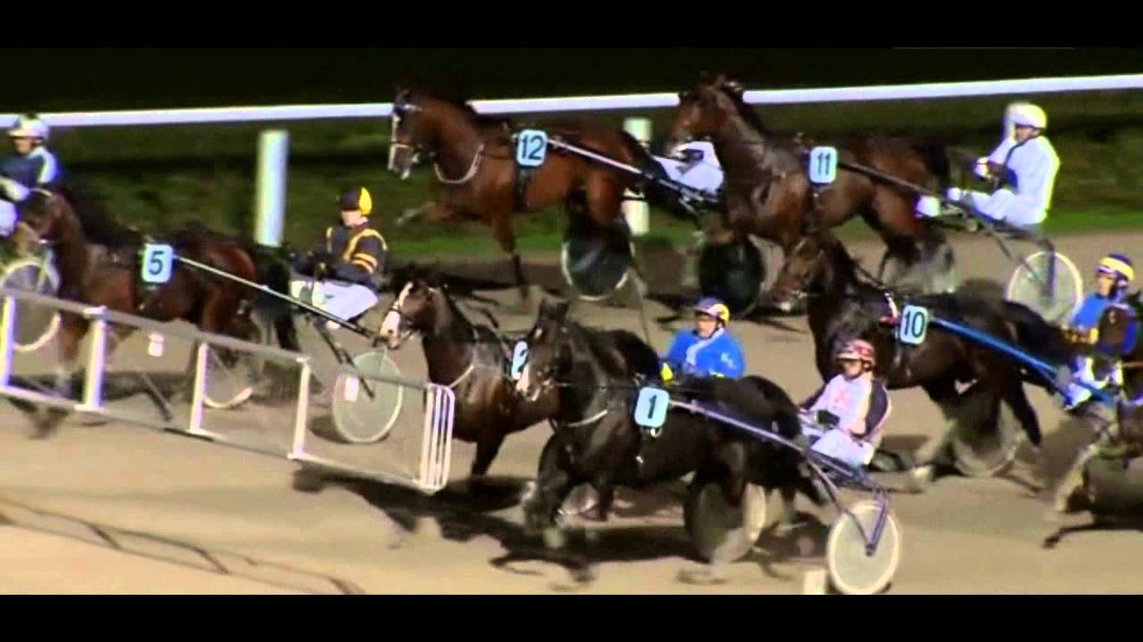 Stall Kaiser_Silence & Joachim Kaiser_Roscoft & Michael Voigt