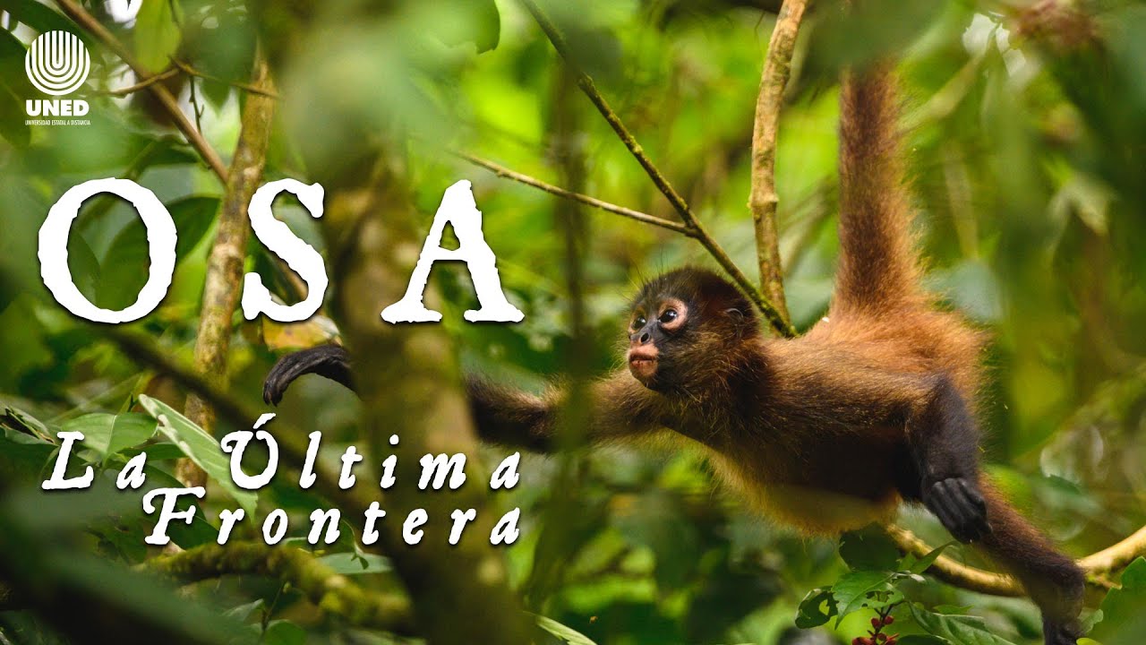 Osa la última frontera