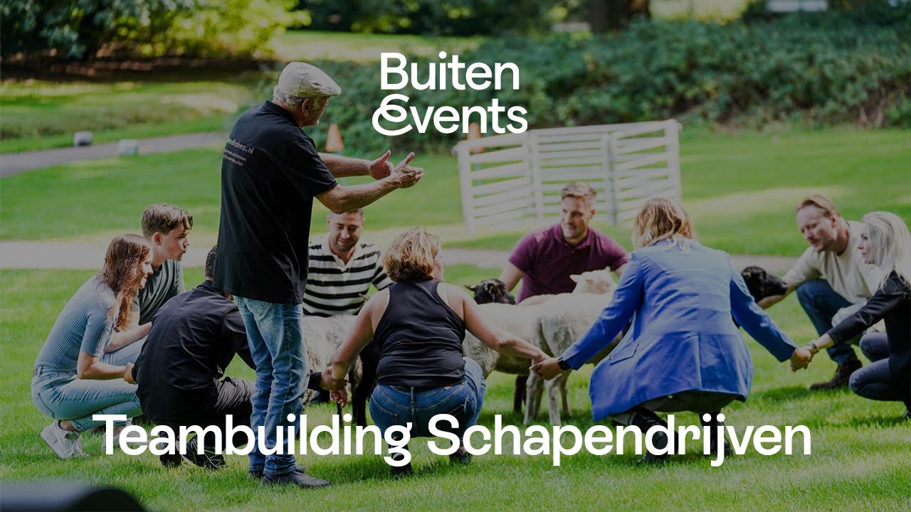 Teambuilding Schapendrijven | BuitenEvents | Teambuilding met een Twist!