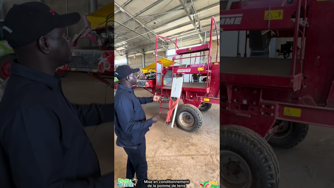 Conditionnement de la pomme de terre, les solutions de Terragrisen #sunumbay #agriculture