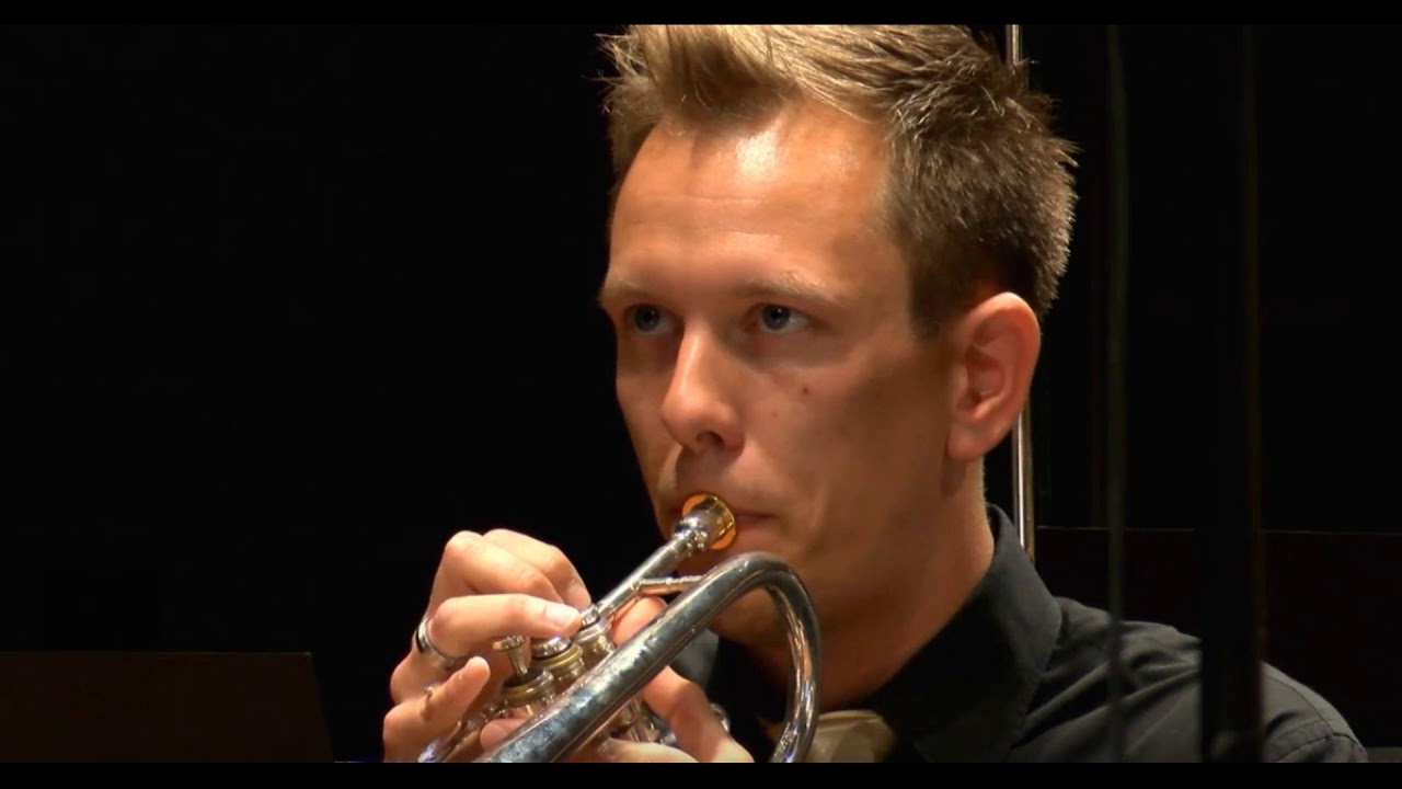 Brassband David - Song