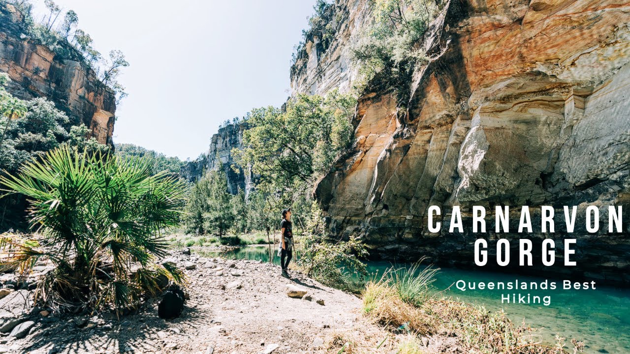 Carnarvon Gorge: The 4X4 Camping Adventure You Need!