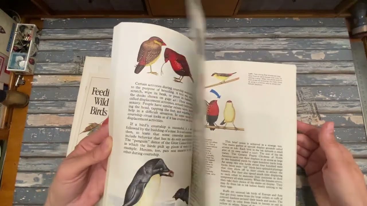 Как найти тонны эфемеров в подержанных книгах