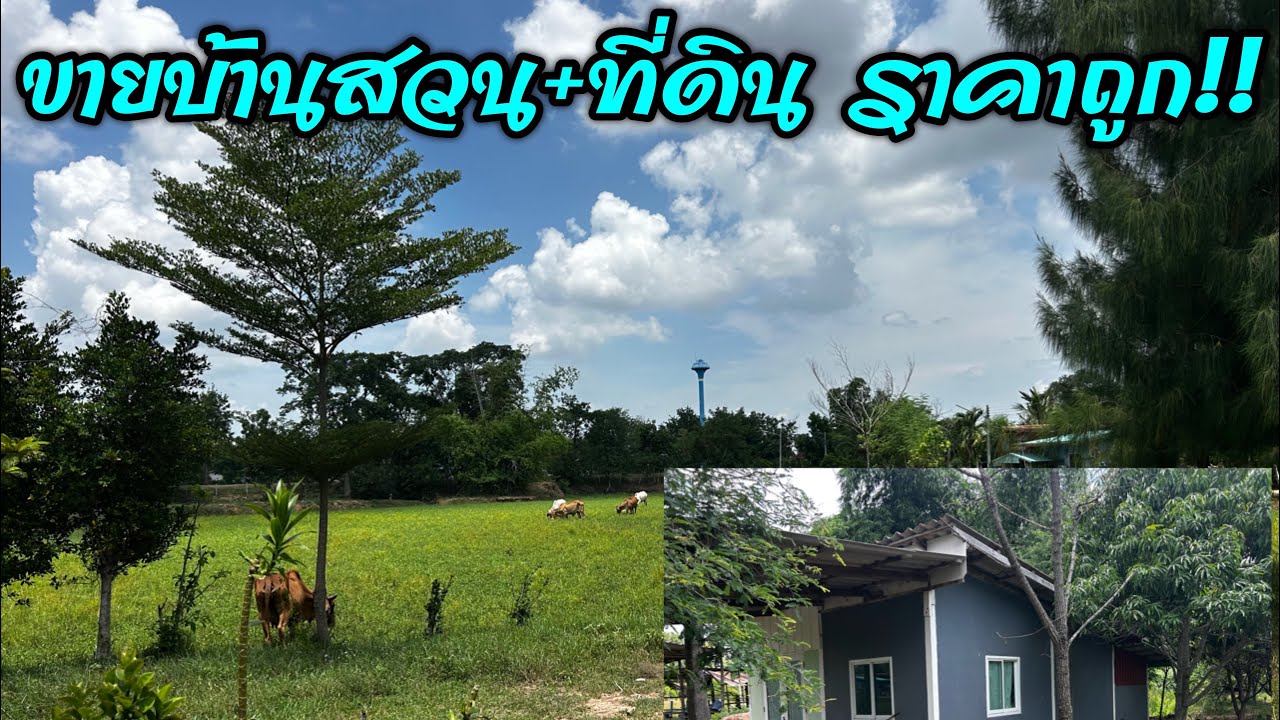 #ขายบ้านสวน+ที่ดิน(Ep.076) บ้านพร้อมที่ดินขนาด7-2-62ไร่  จังหวัด นครราชสีมา