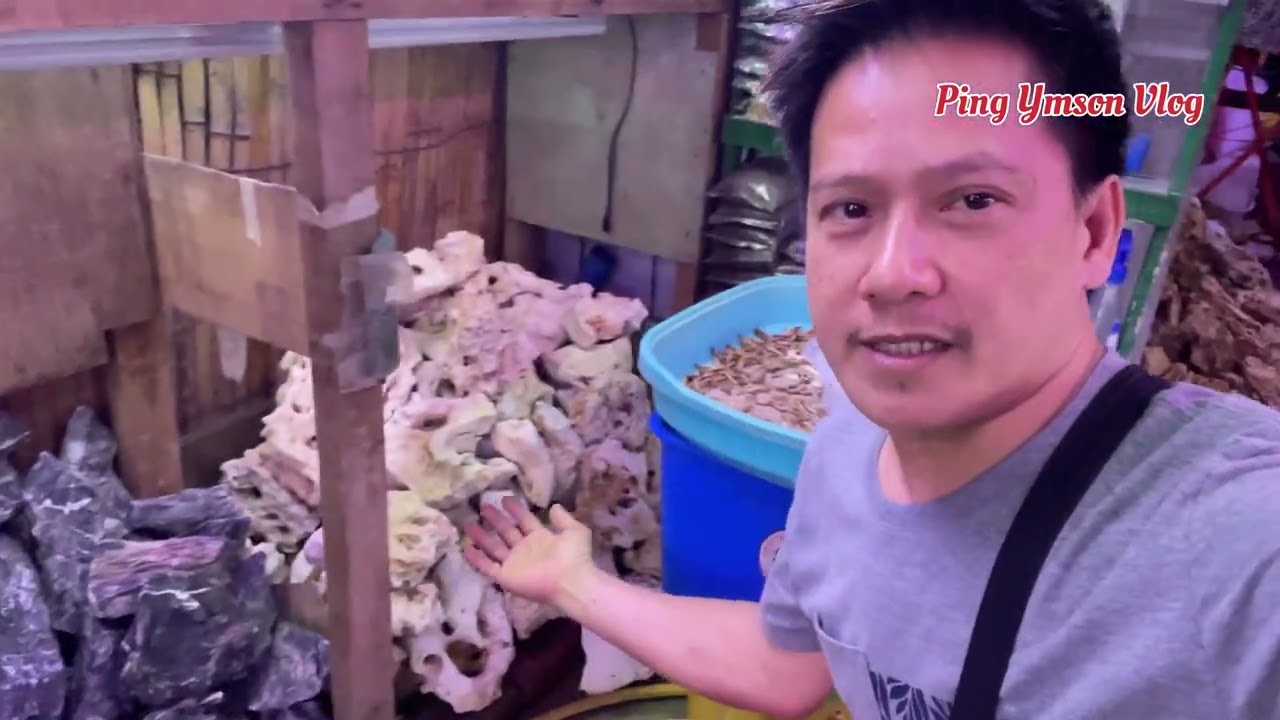 FISH SHOP UPDATE PART 32! Merry merry christmas everyone! Aqualand Alley Cartimar...