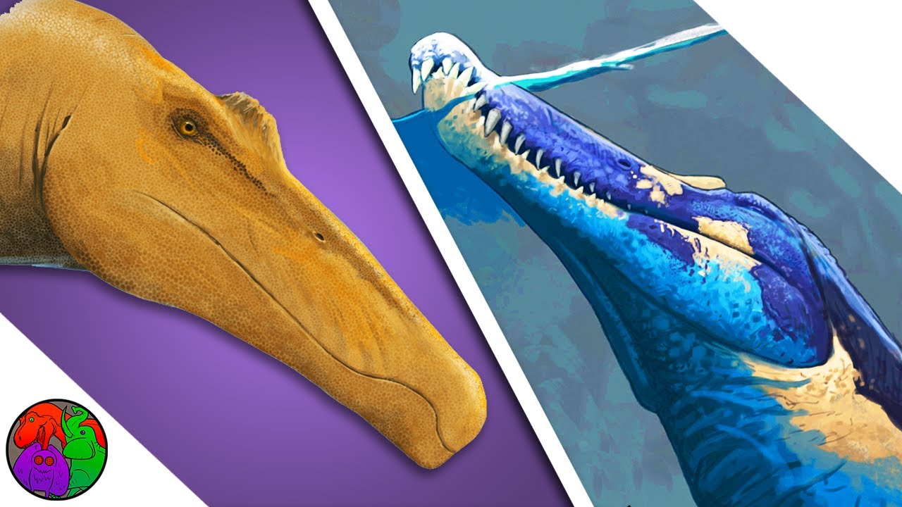 Did Spinosaurus have Lips?