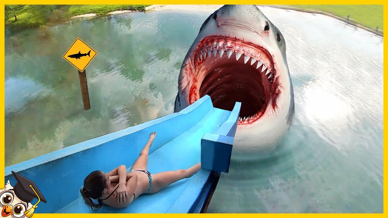 20 Toboggans Aquatiques Les Plus Dangereux De Tous Les Temps