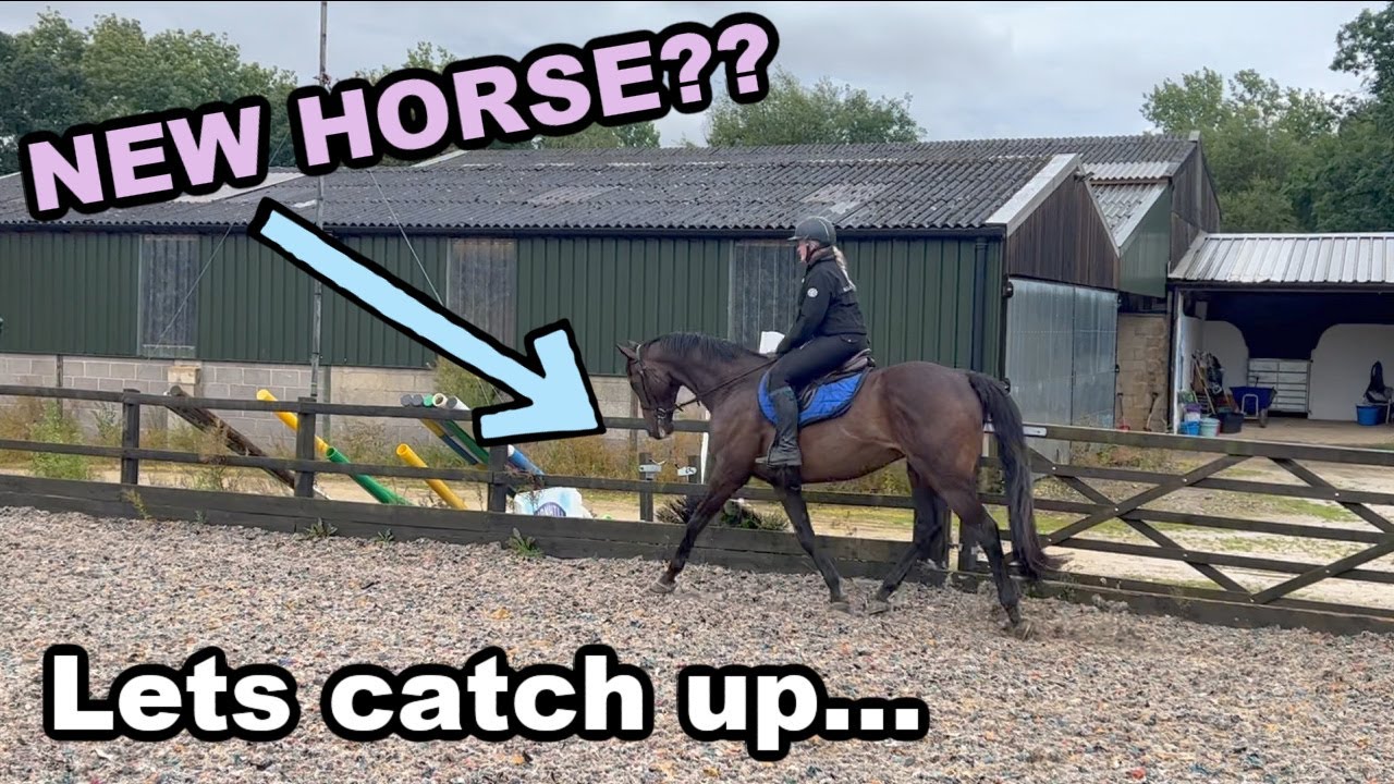 LETS CATCH UP... | NEW HORSE REVEAL | GOAT THE EVENT HORSE