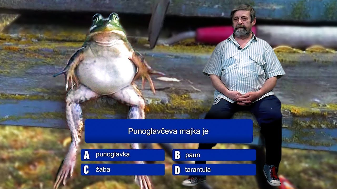 Jaran u milijunašu - Punoglavčeva majka je 🐸💸
