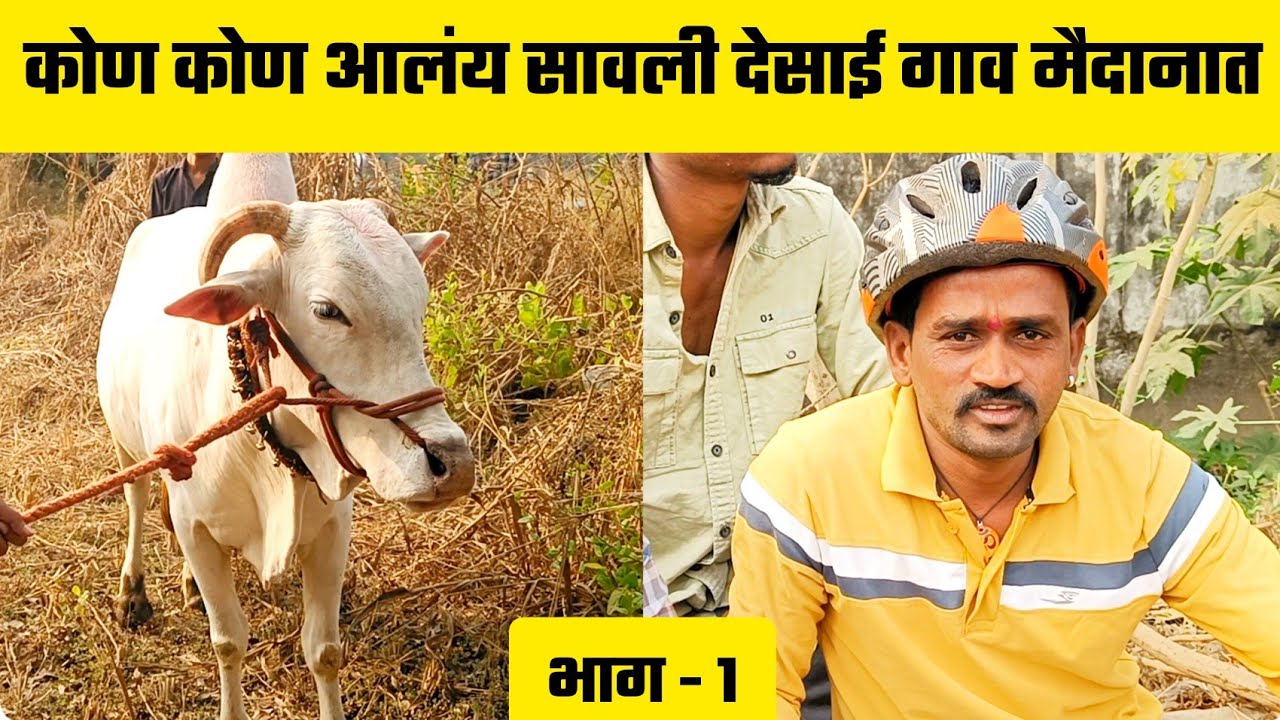 कोण कोण आलंय सावली देसाई गाव मैदानात | भाग - 1
