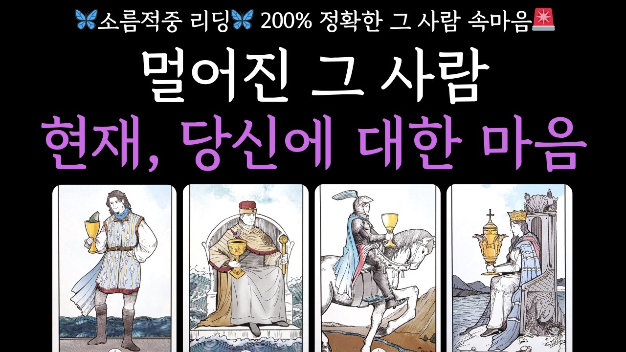[타로🦋] 재회운+관계흐름🦋 멀어진 그 사람 현재, 당신에 대한 속마음‼️200% 정확한 그 사람 속마음 🍀