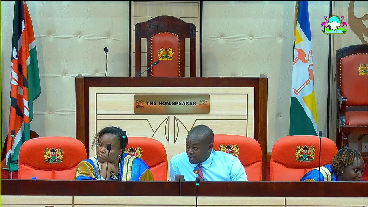 THIRD ASSEMBLY (FOURTH SESSION) HOUSE PROCEEDINGS,  AFTERNOON SESSION 3RD FEBRUARY 2026