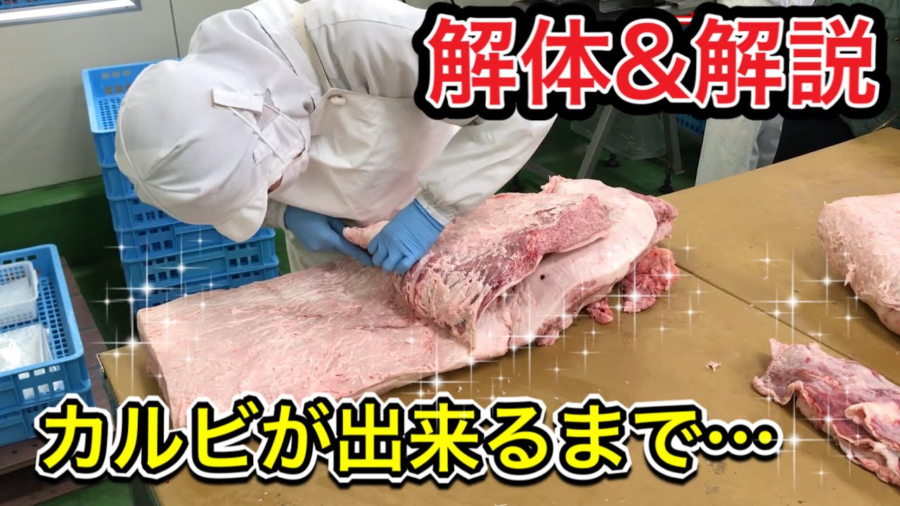 【カルビの塊】 特上カルビ100人前を解体＆解説