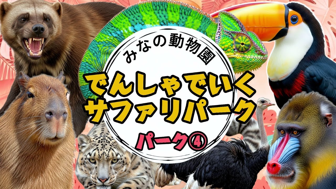 電車で行くサファリパーク | パーク④ キツネザル,ヘラジカ,オオハシ,カピバラ,ユキヒョウたちが登場！【動物教育】
