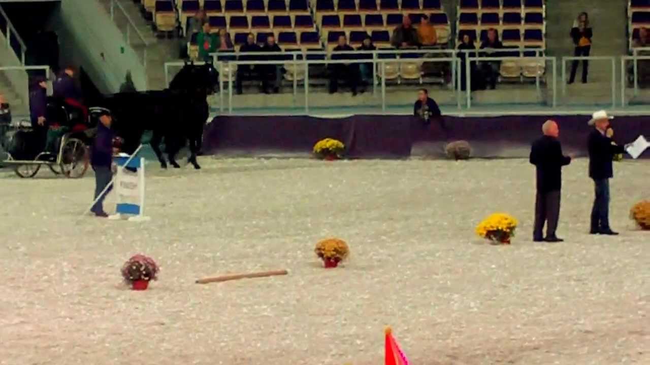 Wyścig powozów - Parada Jeździecka 2011 - Łódź Poland - Atlas Arena