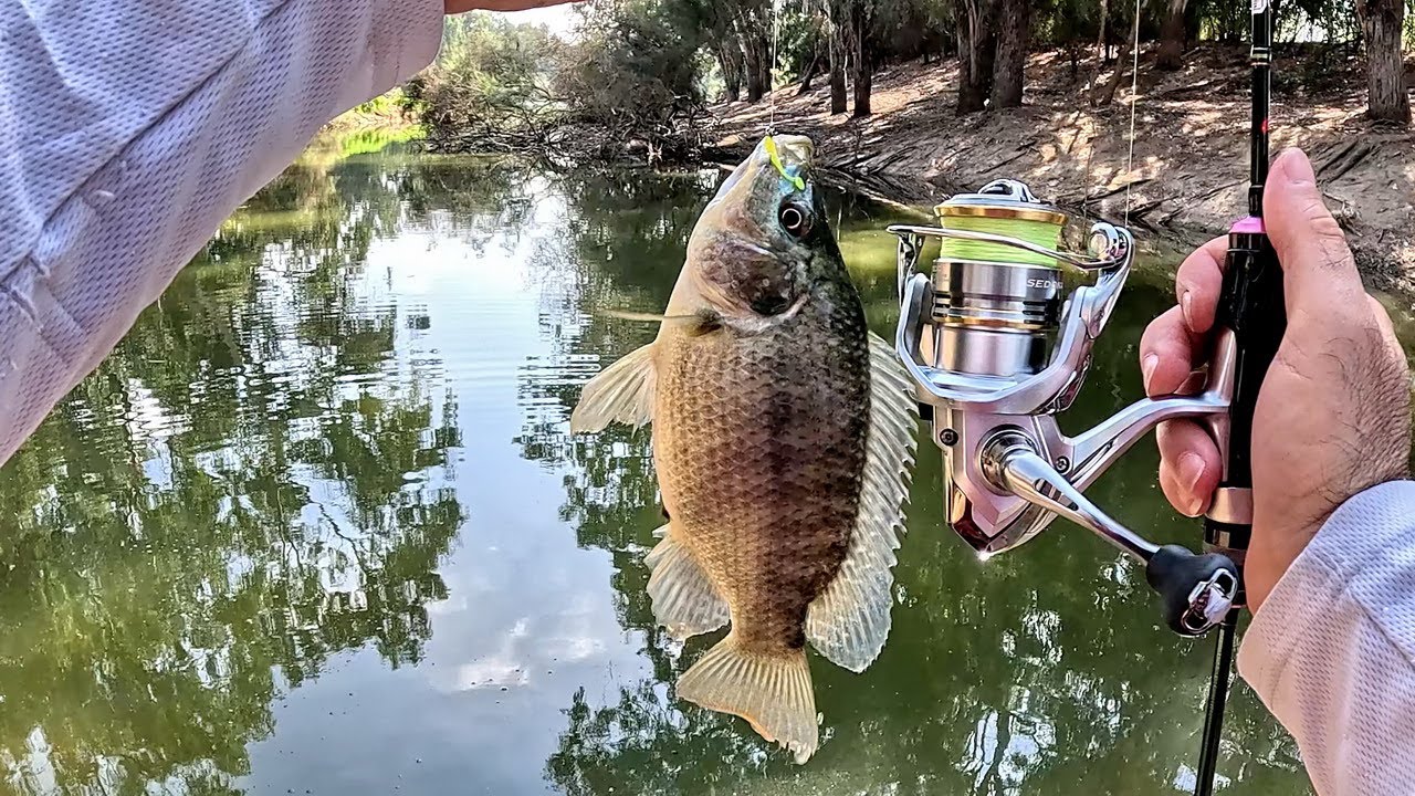 פתיחת עונת הדיג ל 2024 XUL באגם הנקיק🎣Opening the 2024 XUL fishing season at Hanakik Lake HE/EN Subs