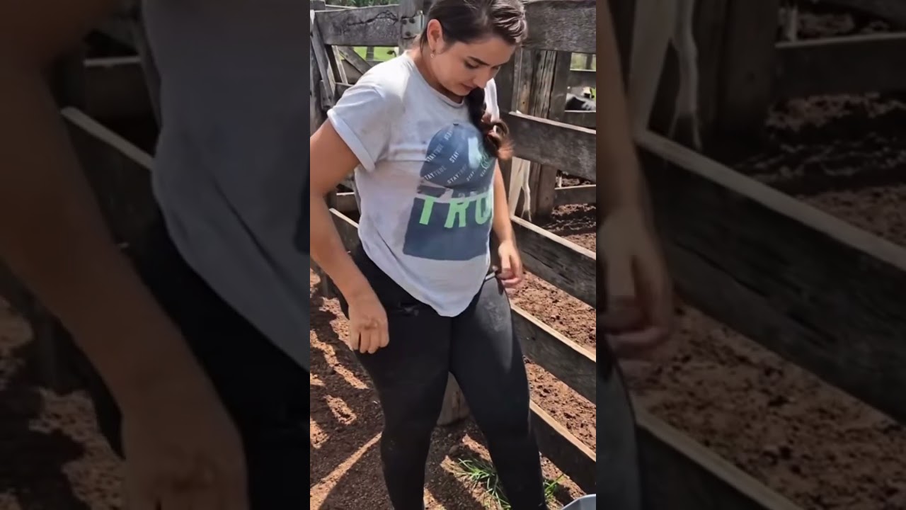 Black cow milking by hand Wednesday vlog... #wildlife #wild #animals