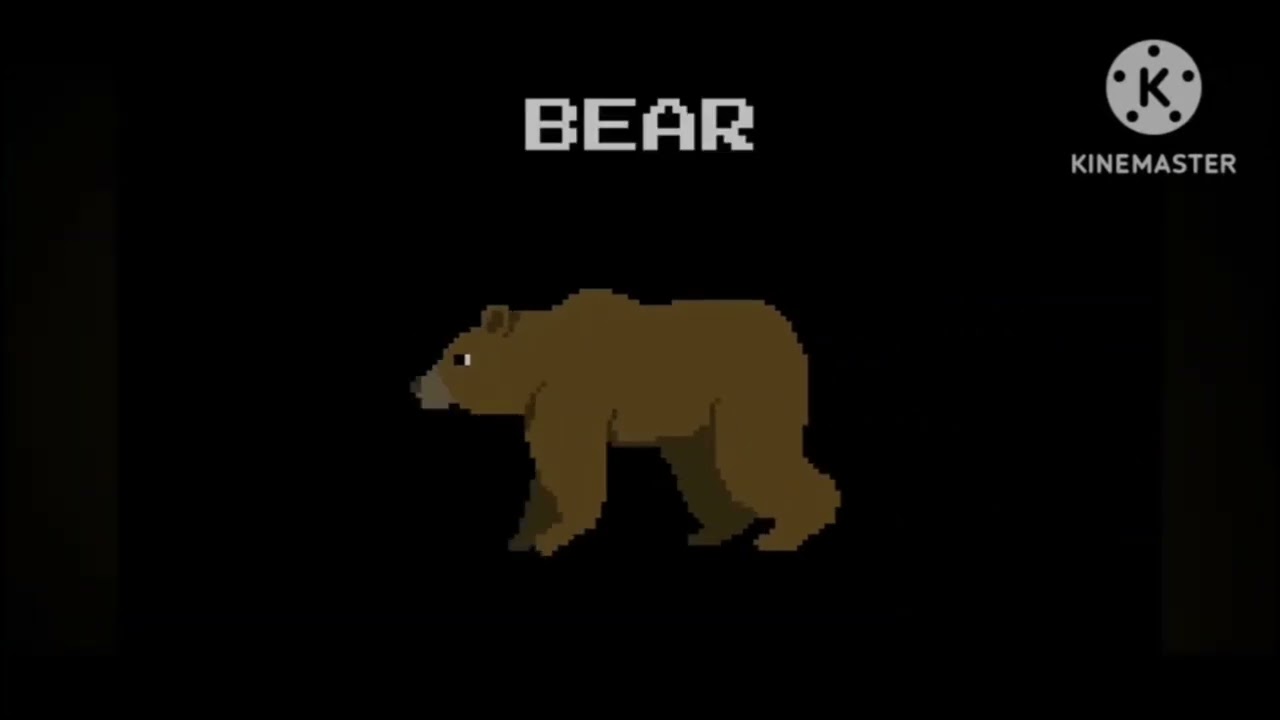 Bears 5.0 the kids picture show