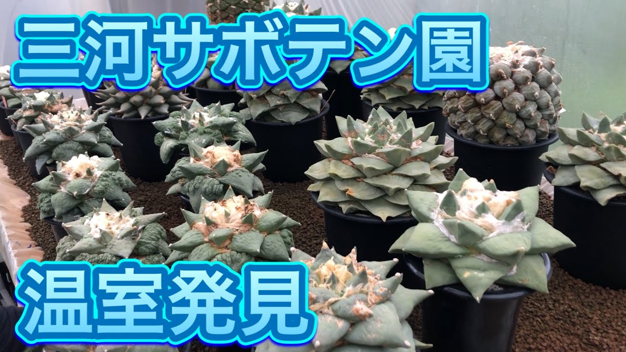 三河サボテン園、まだ見ぬ温室を発見！