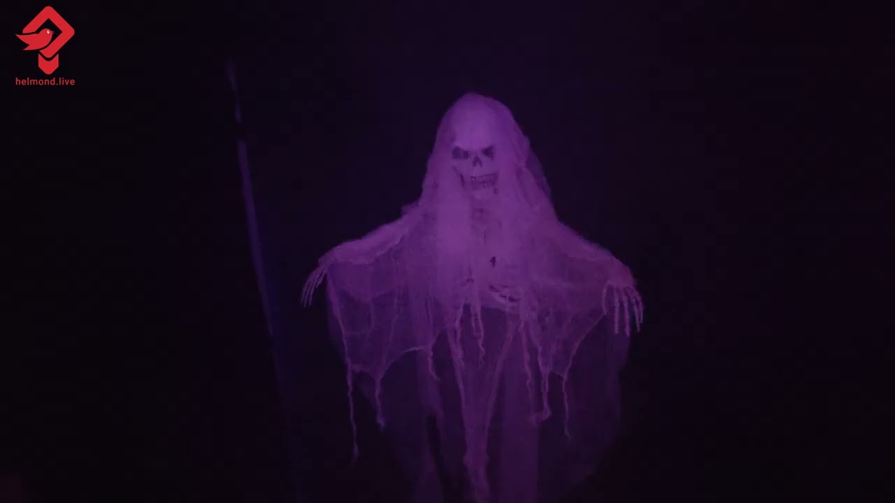 Halloween Doolhof l Wijkcentrum de Boerderij l Helmond